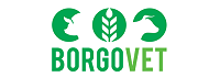 Borgovet